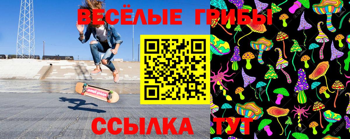 Галлюциногенные грибы MAGIC MUSHROOMS  Вход с VPN  Соль-Илецк  Псилоцибиновые грибы прущие грибы 